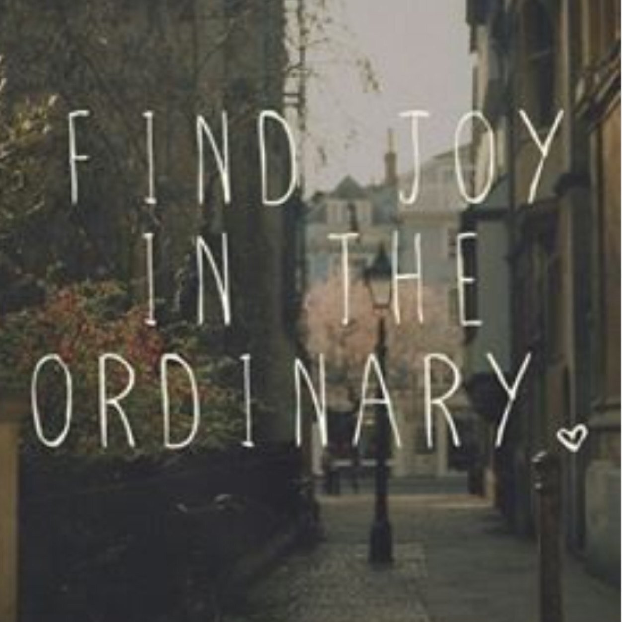 livelifloud's profile picture. 