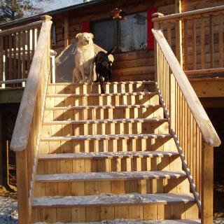 rustic_living's profile picture. Enjoyed wkends at cabin in the woods for yrs, Created web site on rustic living! Now moving to 160 acres on lake in woods - FT!