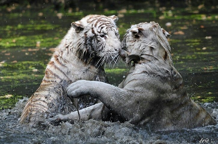 Pictures of our amazing world