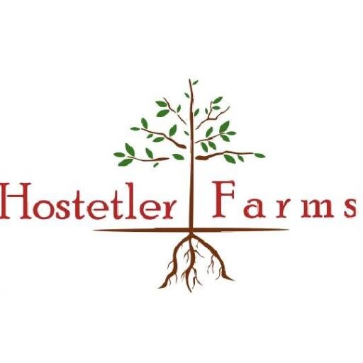 Cider Apple Tree Nursery.  A successful orchard and early yields starts with a high quality nursery tree!