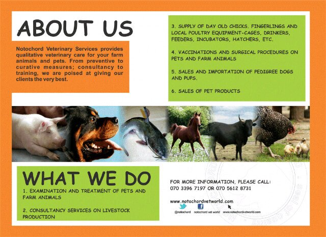 NotochordVet's profile picture. Full Preventive and Curative Healthcare plus Surgeries in Ibadan.Doing biz wiv us is Fun,Riskfree and Convenient