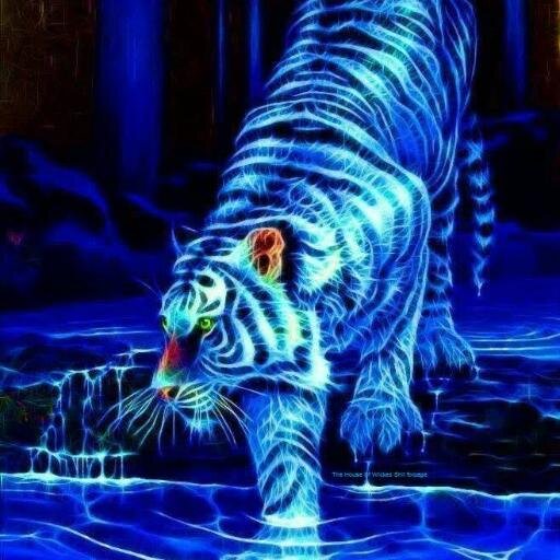 cuddlebug5575's profile picture. 