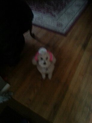 PirroLinda's profile picture. Single Mother looking for my Knight in Shining Armor.I'm a proud Mother of 3. Mother of a Marine HERO.