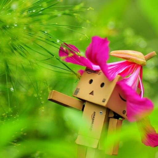 nguyennhi1805's profile picture. [URL=http://t.co/wbHk3uq8jS][B]nha pho[/B][/URL]|