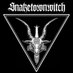 SNAKETOWNWITCH (@snaketownwitch_) Twitter profile photo