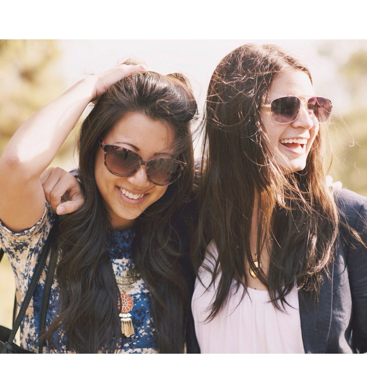 threadalertblog's profile picture. 