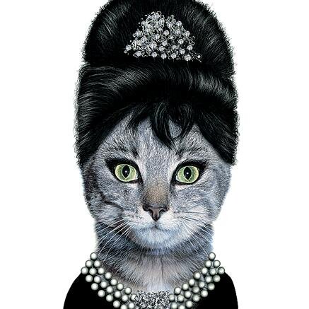 Brand new blogger! Teen mommer! Crazy cat lady. Gardener. T-shirt aficionado. Eco-friendly. Fat kid cake lover. NHL fan. Depression sufferer. Reader. AND STUFF!