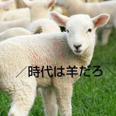 ラム肉の漏刻
