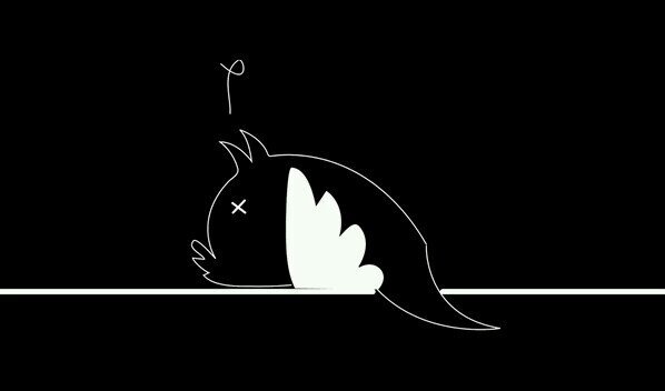 edufondevila's profile picture. A vida é un tango e a morte un fandango.