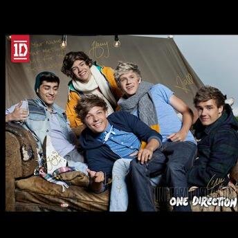 I'm 1/∞ of #Directioners....My life changed when I met one direction, and so I say: I AM directioner, SOME PROBLEM??