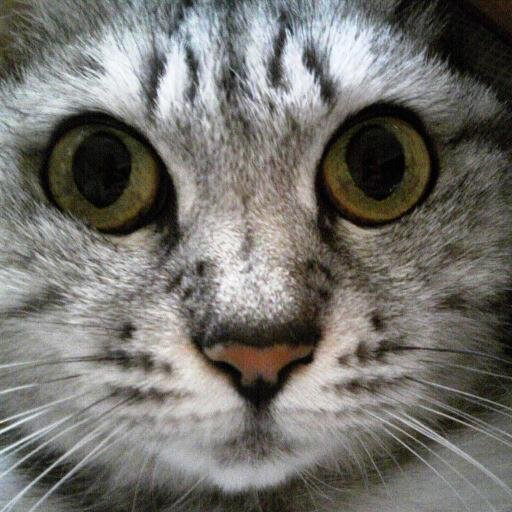 お風呂上りに顔やふくらはぎをマッサージしてぐっすり寝たら次の朝とても軽い感じになります。そして心も軽くなります。そんなコンディションが心地よくて毎日心と体の感覚と仲良しな私。まだ自分の肌に合うコスメに出合う前からワクワクするような感性でいる私。この感性こそが「私のキレイ」。そしてこの積み重ねこそがなりたい私なのです。