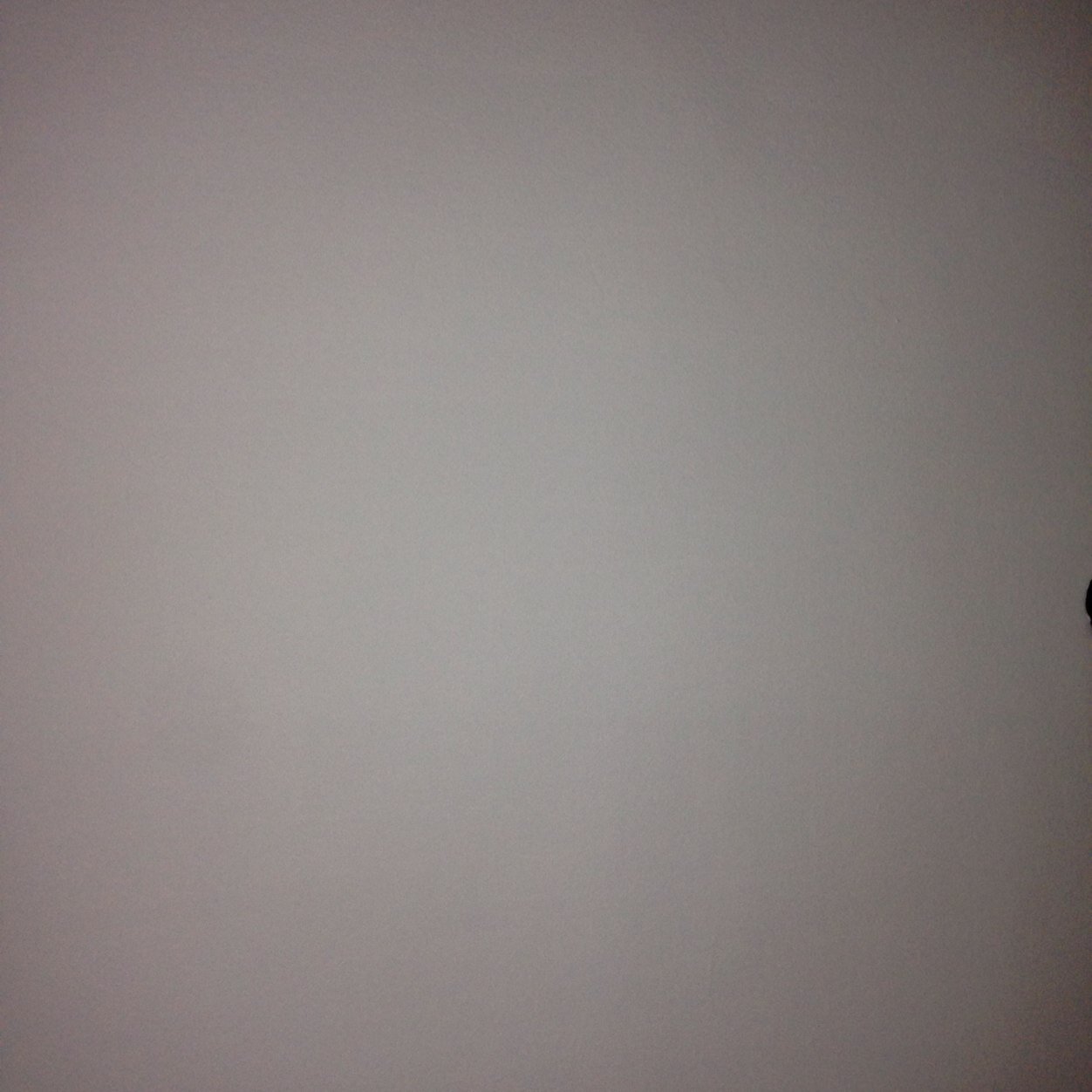 bilisimegitim's profile picture. 