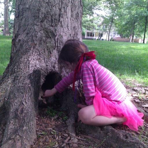 FairyGroveAcade's profile picture. 