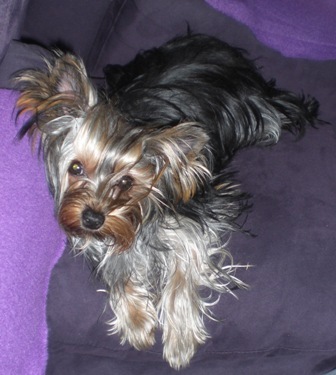 Mitsou91's profile picture. 