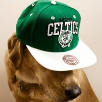 Λ\C (@michaelcheong) 's Twitter Profile