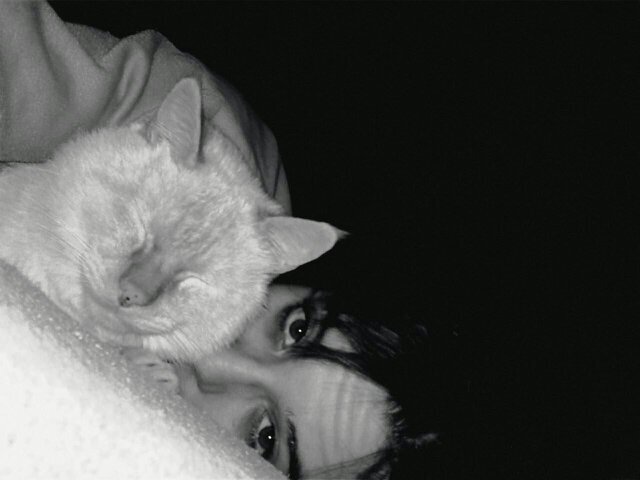 ✿ ℳariaan ツ
