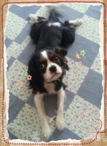 ayaka_er's profile picture. 🎸UNISON SQUARE GARDEN、[ALEXANDROS]、クリープハイプ、KEYTALK、スピッツ  🎶関ジャニ∞