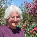 Mary Isabel Steele - @reader888 - Twitter