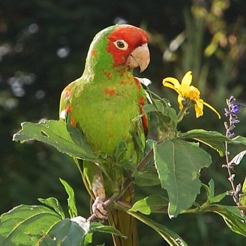 hi_dm's profile picture. 