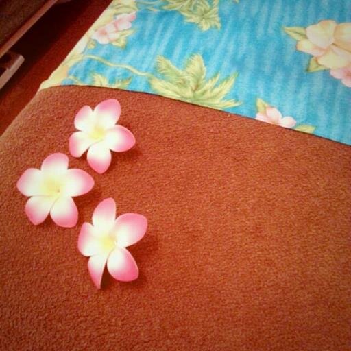 藤が丘プライベートエステ プチコローラ Hujigaoka Twitter