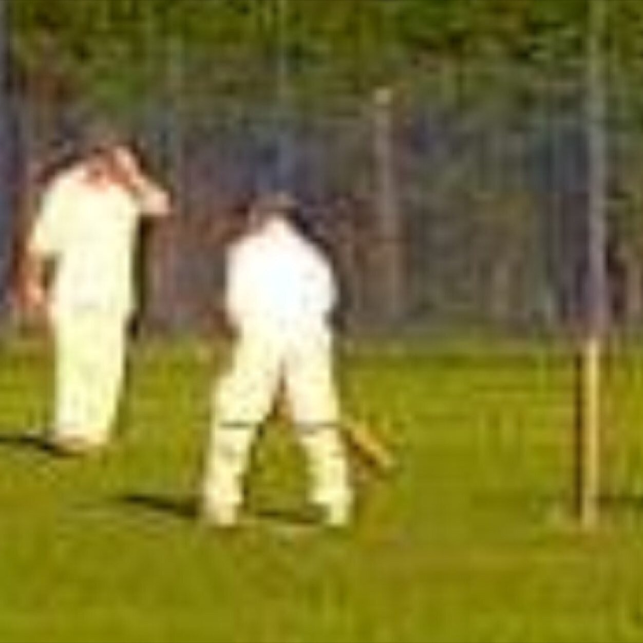 Milnrow cricket club