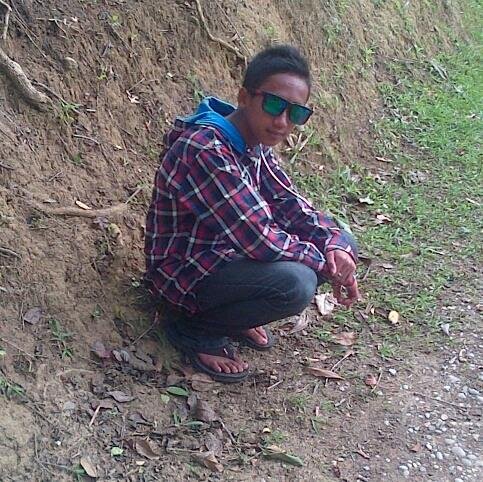 I like study rapp