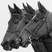 Patrick McCann (@patrickmccannrp) 's Twitter Profile