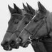 Patrick McCann (@patrickmccannrp) Twitter profile photo Patrick McCann (@patrickmccannrp) Twitter profile photo