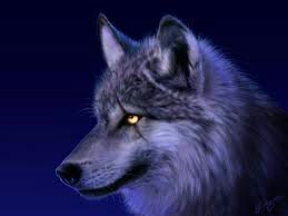 I love wolfs about as much as i love gaming which is really saying something considering i am never of my consul
