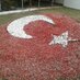 Fatih Emektar 🇹🇷 (@fatihemektar) Twitter profile photo Fatih Emektar 🇹🇷 (@fatihemektar) Twitter profile photo