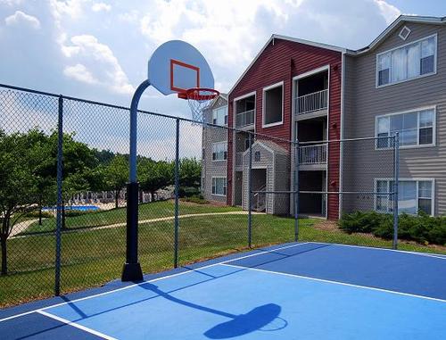 lionscrossing's profile picture. 