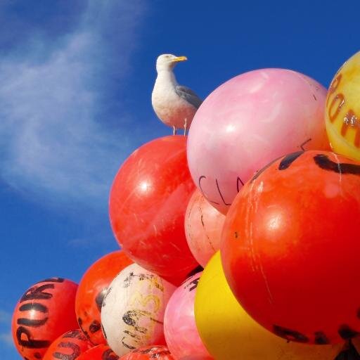 Jonsomers1's profile picture. . Likes Walking ,Photography, Sailing, Fishing and Chelsea FC
https://t.co/ppn89Pc8yS