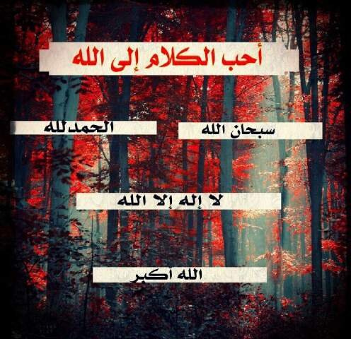 سُبحآن الله ، والحمدُلله ، وَ لـآ إلھَ إلـآ الله ، وَ الله اَگبـر ، وَ لـآ حوْلَ وَ لـآ قوة إلـآ بالله ♡♥' ﭑللہُمّ صَلّ ۉ ﺳ̭͠لم ﻋ̝̚لى `     . . سَيدنآ مُحمد ,