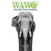 World Animal Welfare (@wawo_kiss) Twitter profile photo