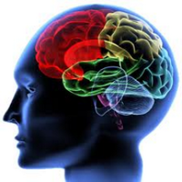 Neuro Physio (@neurophysiouk) 's Twitter Profile