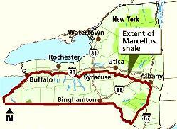 nywellwatch's profile picture. 