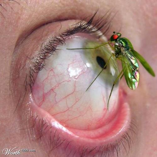 The eyes are useless when the mind is blind