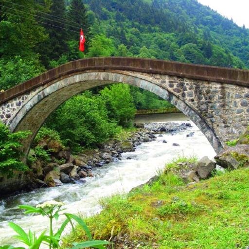 Doğa resimleri, seyahat incelemeleri.