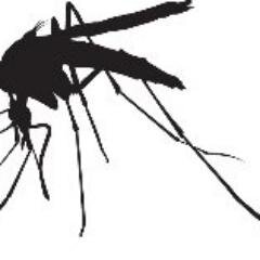 MosquitoAngling Profile Picture