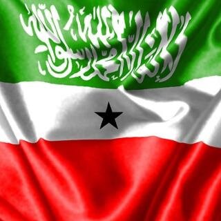 The official Twitter account for the government of the Republic of #Somaliland. Campaigning for international recognition of our independence.