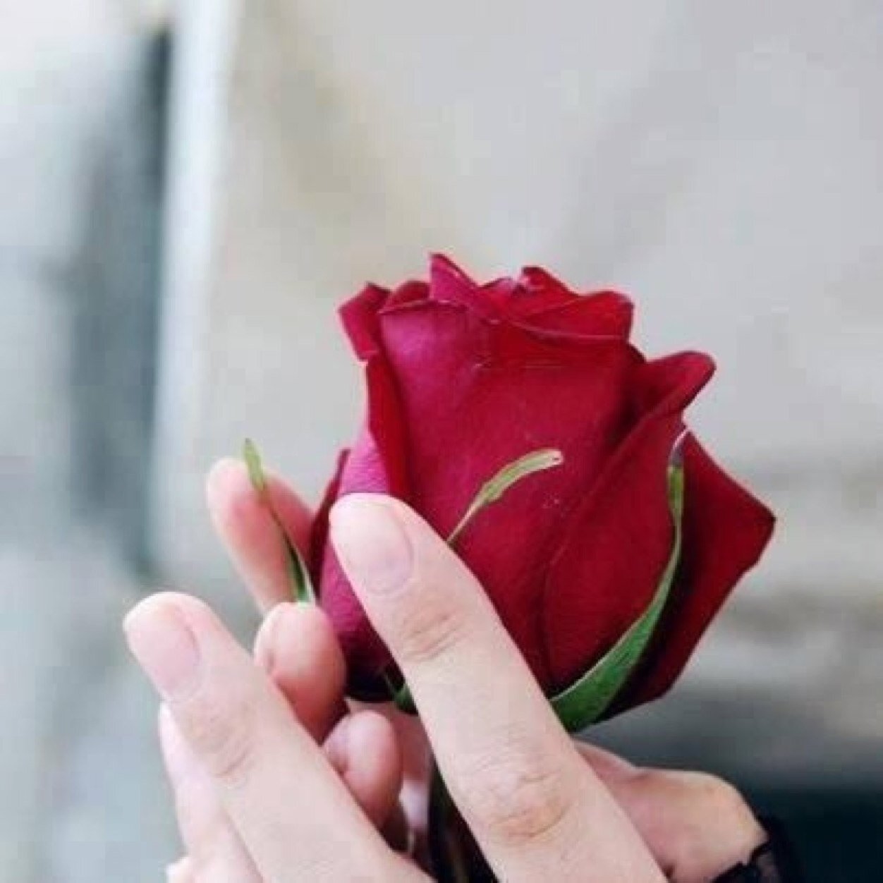 عابرون و لكن جعلوا قلوبنا ضمن حقائبهم ،