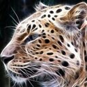 DRAGON PLAYER - @ImmaginiP - Twitter