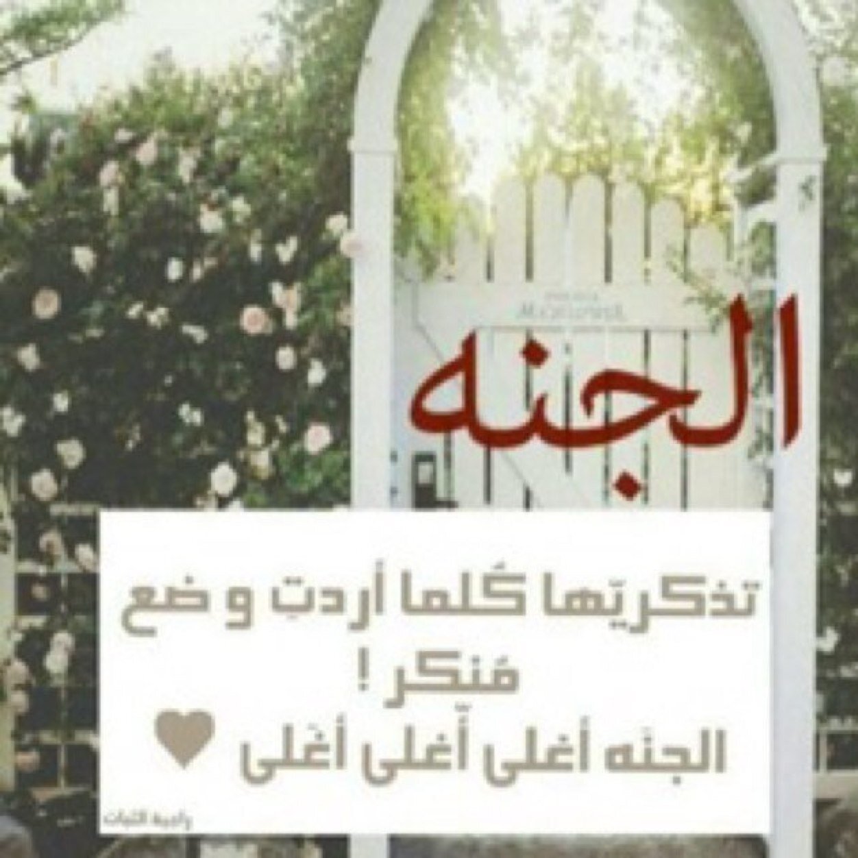 ربي استودعتك عائلتي فلا حياة لي بدونهم واجمعنا ي الله بفردوسك الاعلى❤ اللهم من اراد بعائلتي سوء فـ اجعل تدبيره في تدميره 

الحساب مقفل