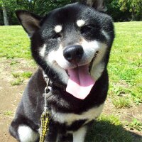 西原　博史 (@hiroschi) Twitter profile photo