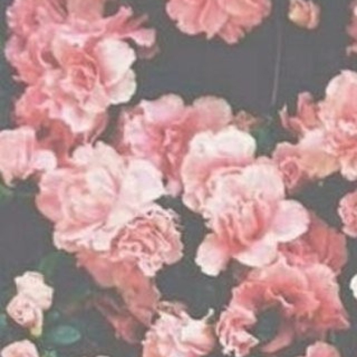 آمنتُ أنّ الحُب دعاء لذا لن أحرمكِ دعائي @nouurfaraj