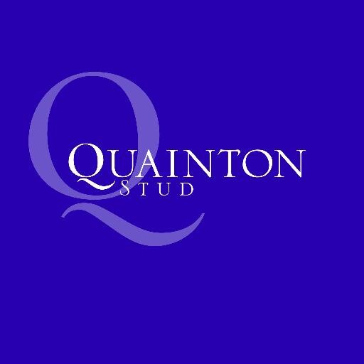 Quainton_Stud Profile Picture