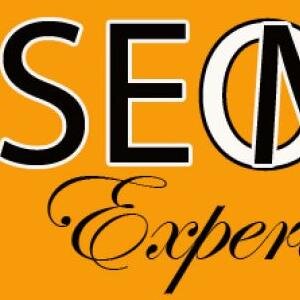 I’m a Professional SEO Expert and Consultant from Jaipur,Rajasthan, India. I’m best known for being an expert at search engine marketing.