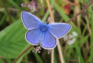 MailePuckett's profile picture. 