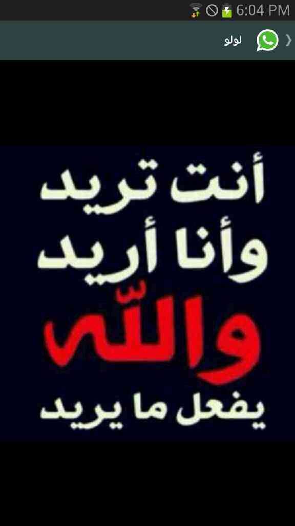 mostafafyez74's profile picture. 