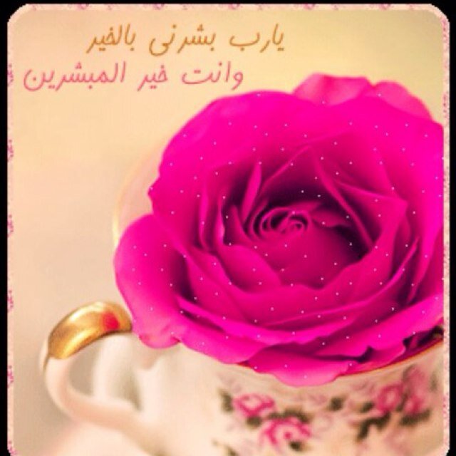 اللهم 
إنا نعوذ بك من حياة
على غرور
وموت على غفلة
ومنقلب إلي حسرة
ووقوف يوم الحساب
بلا حجة
اللهم ثبت قلوبنا
على طاعتك
وألسنتا على ذكرك